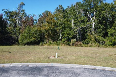 Land in Spring Hill, Florida № 2206185 - photo 2