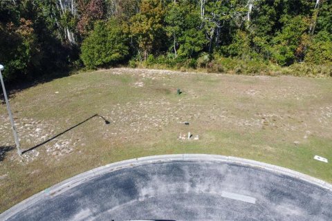 Land in Spring Hill, Florida № 2206185 - photo 3