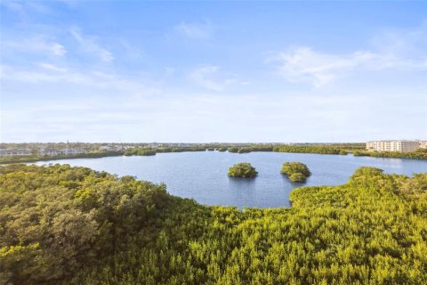 Condo in Saint Petersburg, Florida, 2 bedrooms  № 2110264