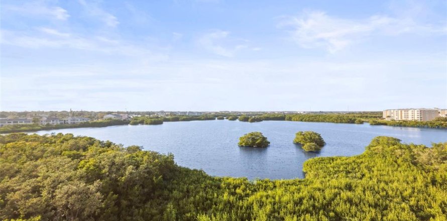 Condo in Saint Petersburg, Florida, 2 bedrooms № 2110264