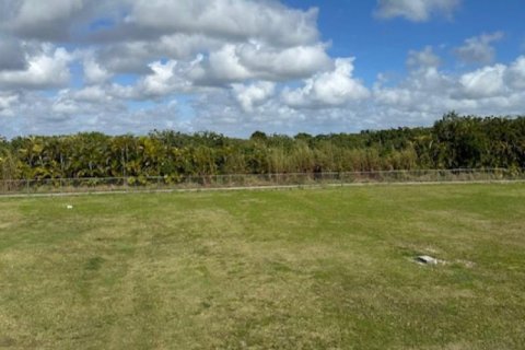 House in Homestead, Florida 2 bedrooms, 339.09 sq.m. № 2193100 - photo 12