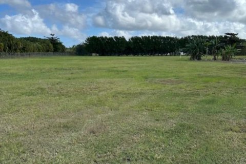 House in Homestead, Florida 2 bedrooms, 339.09 sq.m. № 2193100 - photo 13