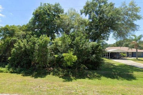 Land in Lake Placid, Florida № 1526185 - photo 3