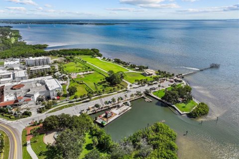 Commercial property in Safety Harbor, Florida 96.71 sq.m. № 2095657 - photo 15