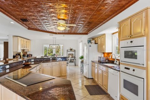 Villa ou maison à vendre à Bradenton Beach, Floride: 3 chambres, 302.3 m2 № 2290984 - photo 9