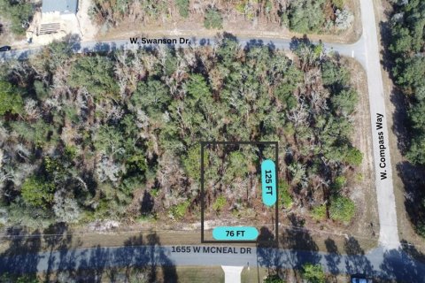 Land in Citrus Springs, Florida № 2228997