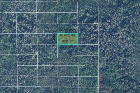 Land in Orlando, Florida № 2219143 - photo 2