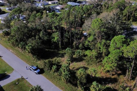 Land in Port Charlotte, Florida № 1853788 - photo 2