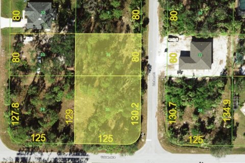 Land in Port Charlotte, Florida № 1853788 - photo 3