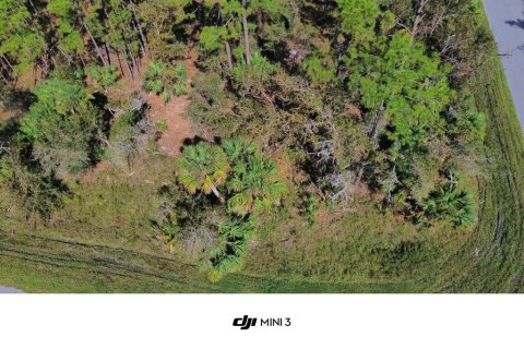 Land in Port Charlotte, Florida № 1853788 - photo 1