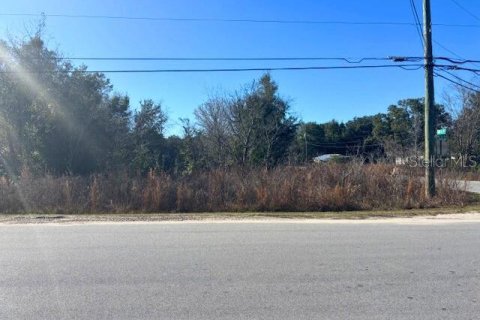 Land in Ocala, Florida № 2165345