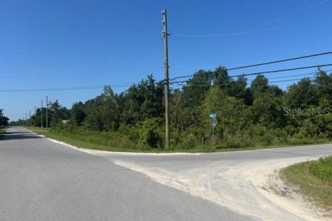 Land in Ocala, Florida № 2165345 - photo 4