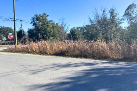 Land in Ocala, Florida № 2165345 - photo 2