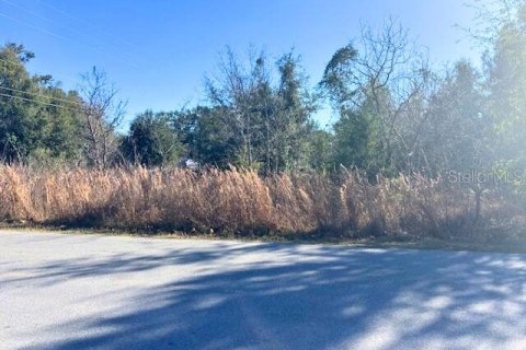 Land in Ocala, Florida № 2165345 - photo 3