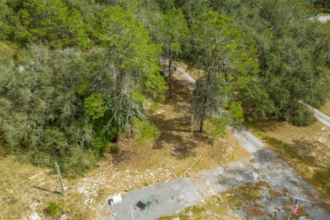 Villa ou maison à vendre à Thonotosassa, Floride: 2 chambres, 162.21 m2 № 1902488 - photo 17