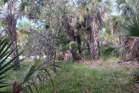 Terreno en venta en Sebastian, Florida № 1172512 - foto 1
