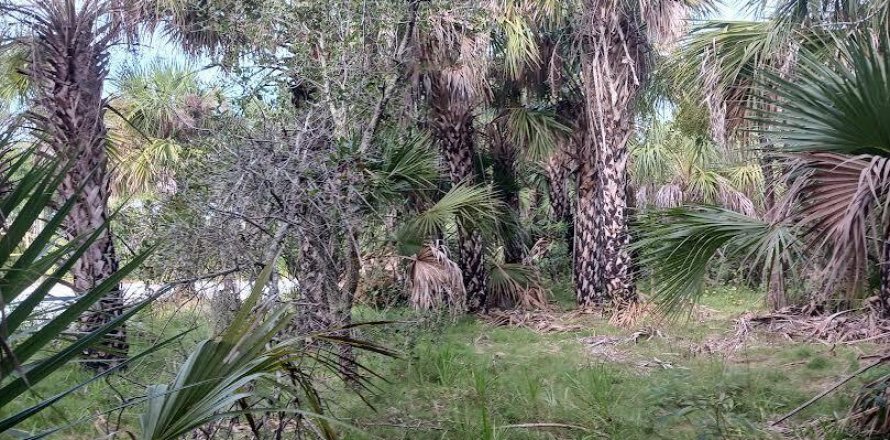 Terreno en Sebastian, Florida № 1172512