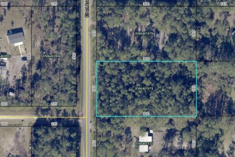 Terreno en venta en Hastings, Florida № 1442196 - foto 1