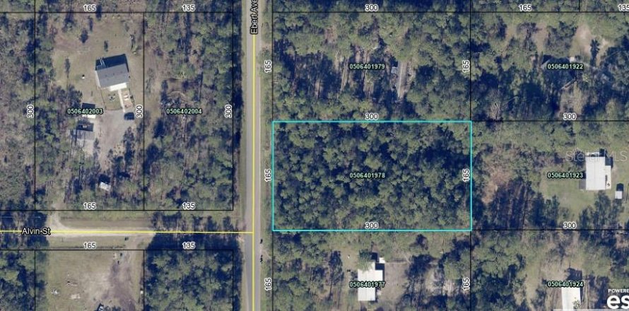 Terreno en Hastings, Florida № 1442196