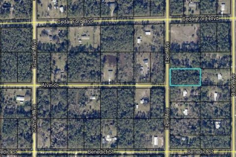 Terreno en venta en Hastings, Florida № 1442196 - foto 2