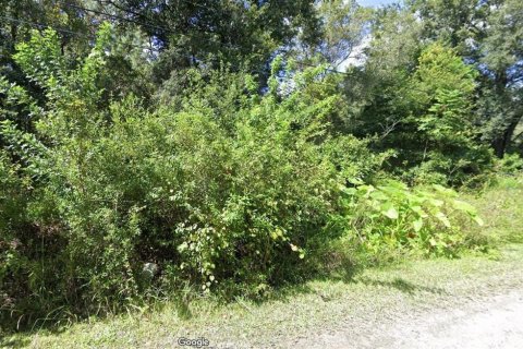Land in New Port Richey, Florida № 1349233 - photo 1