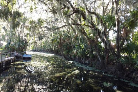 Land in DeLand, Florida № 690677 - photo 11