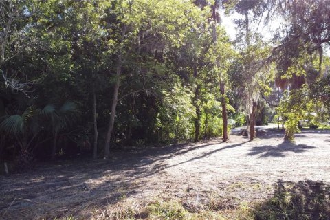 Land in DeLand, Florida № 690677 - photo 17