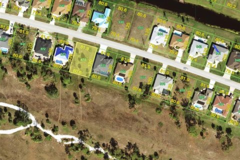 Land in Rotonda, Florida № 2165843 - photo 2