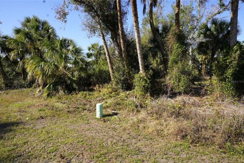 Land in Port Charlotte, Florida № 2165995 - photo 3