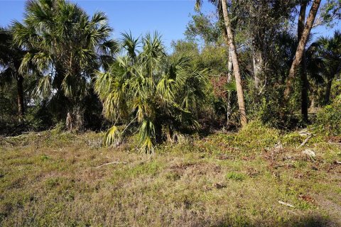 Land in Port Charlotte, Florida № 2165995 - photo 2