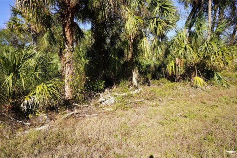 Land in Port Charlotte, Florida № 2165995