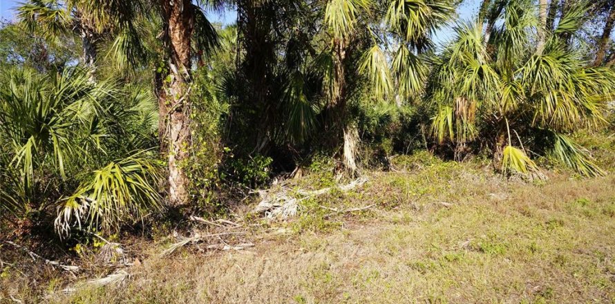 Land in Port Charlotte, Florida № 2165995