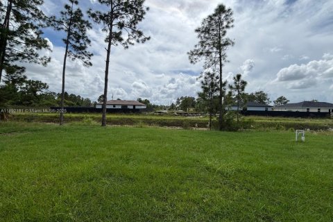 Снять в аренду виллу или дом в Лихай-Эйкерс, Флорида 4 спальни, № 1946356 - фото 30