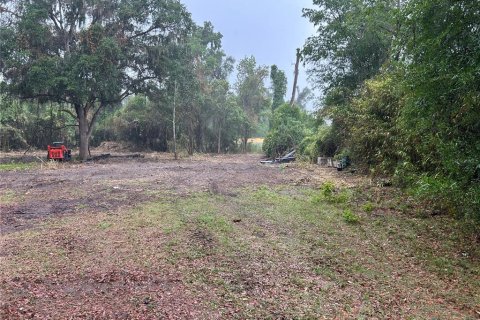 Terrain à vendre à Gainesville, Floride № 2197009 - photo 2