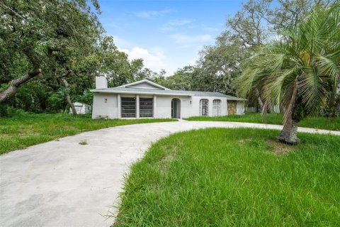 Купить виллу или дом в Спринг-Хилл, Флорида 10 комнат, 222.41м2, № 1840533 - фото 1