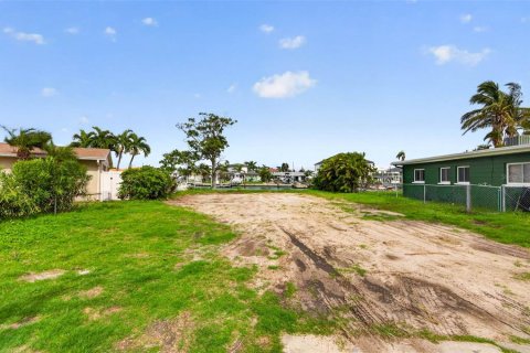 Land in Madeira Beach, Florida № 2272914 - photo 4