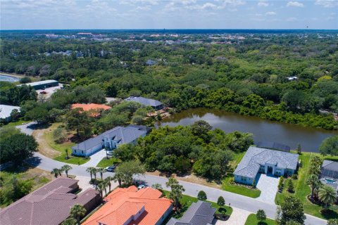 Land in Palm Coast, Florida № 1395314 - photo 10