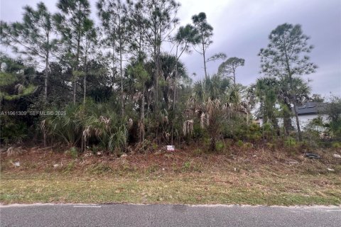 Land in North Port, Florida № 2158270 - photo 5