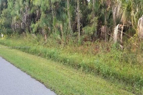 Land in North Port, Florida № 2158270 - photo 2