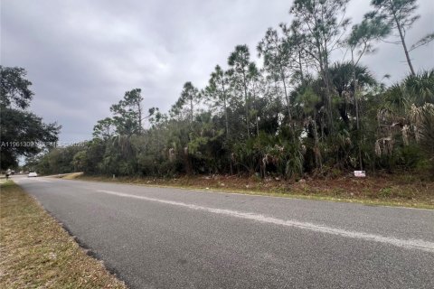 Land in North Port, Florida № 2158270 - photo 4