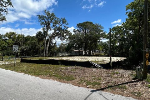 Land in Port Richey, Florida № 1643265 - photo 6