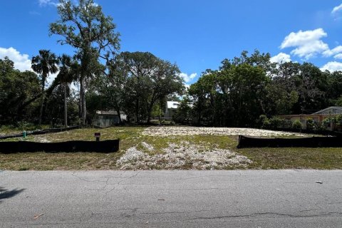 Land in Port Richey, Florida № 1643265 - photo 5