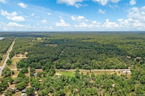 Terreno en venta en Inglis, Florida № 1885928 - foto 5