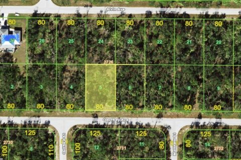 Land in Port Charlotte, Florida № 2165705