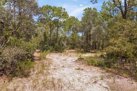 Terreno en venta en Homosassa, Florida № 1911231 - foto 6