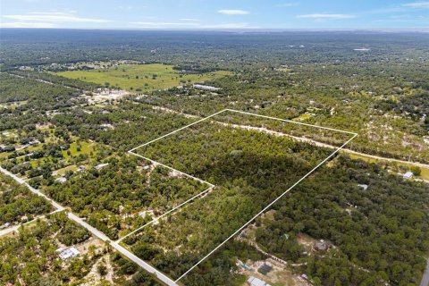 Terreno en venta en Homosassa, Florida № 1911231 - foto 1