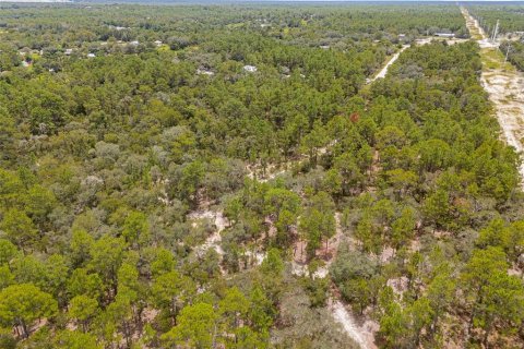 Terreno en venta en Homosassa, Florida № 1911231 - foto 9