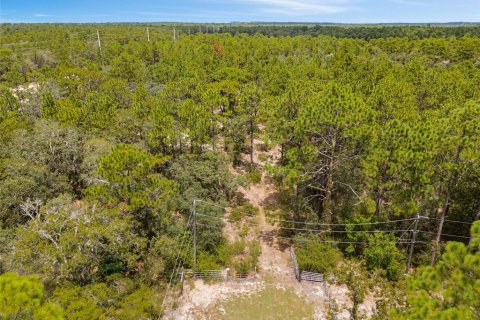 Terreno en venta en Homosassa, Florida № 1911231 - foto 8