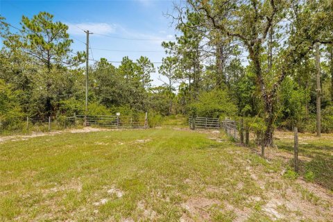Terreno en venta en Homosassa, Florida № 1911231 - foto 11