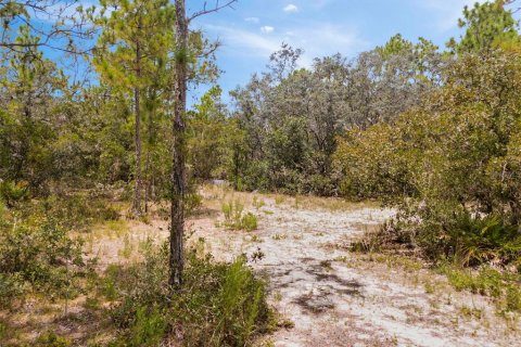 Terreno en venta en Homosassa, Florida № 1911231 - foto 7